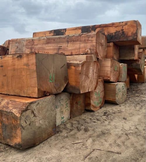 Acajou Logs | Premium Logs for Furniture and Interiors | Bahar Timber