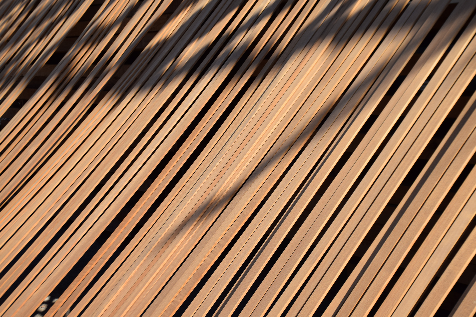Teak Deck